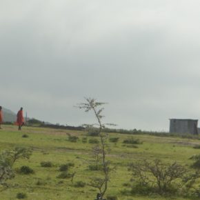 CSC_0649