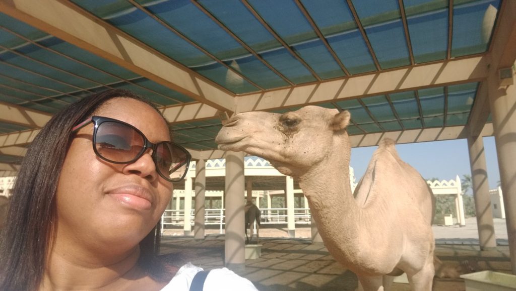 Camel selfie :-)